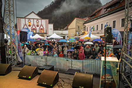 Slovenska bakla v Kamniku (1)